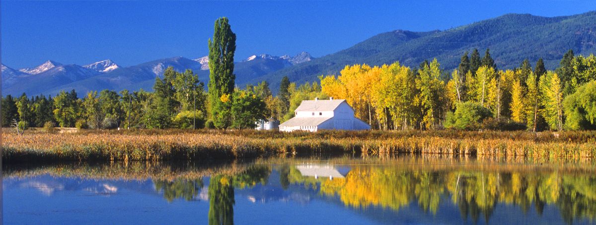 Banner image of Hamilton