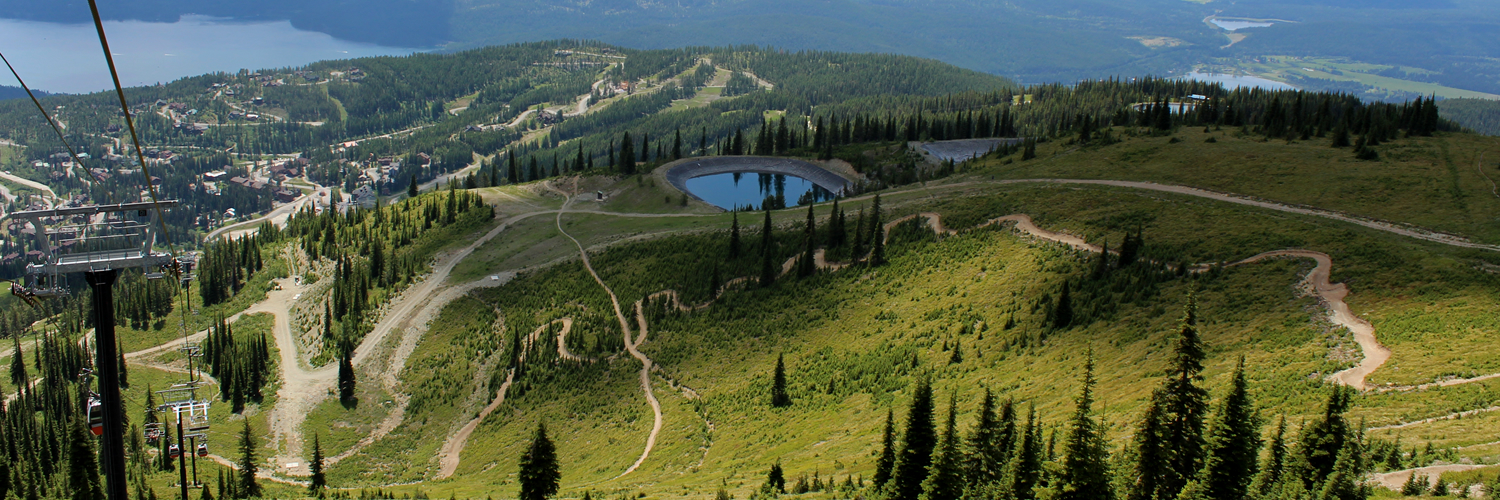 Banner image of Whitefish